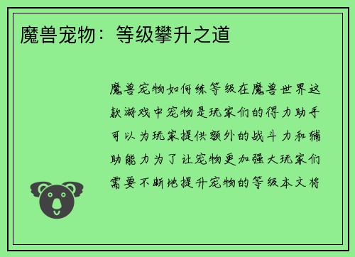 魔兽宠物：等级攀升之道